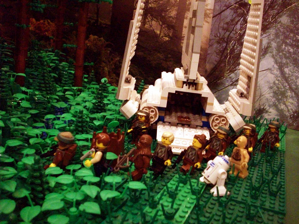 z-endor_landing_a13_049.jpg