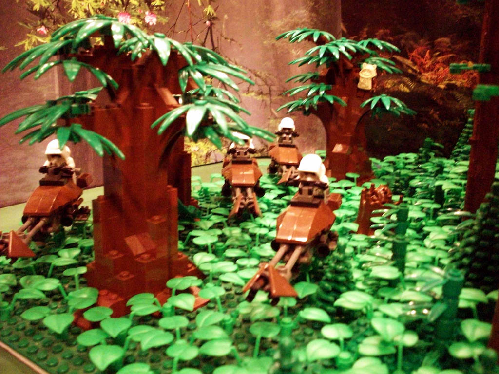 z-endor_landing_a15_051.jpg