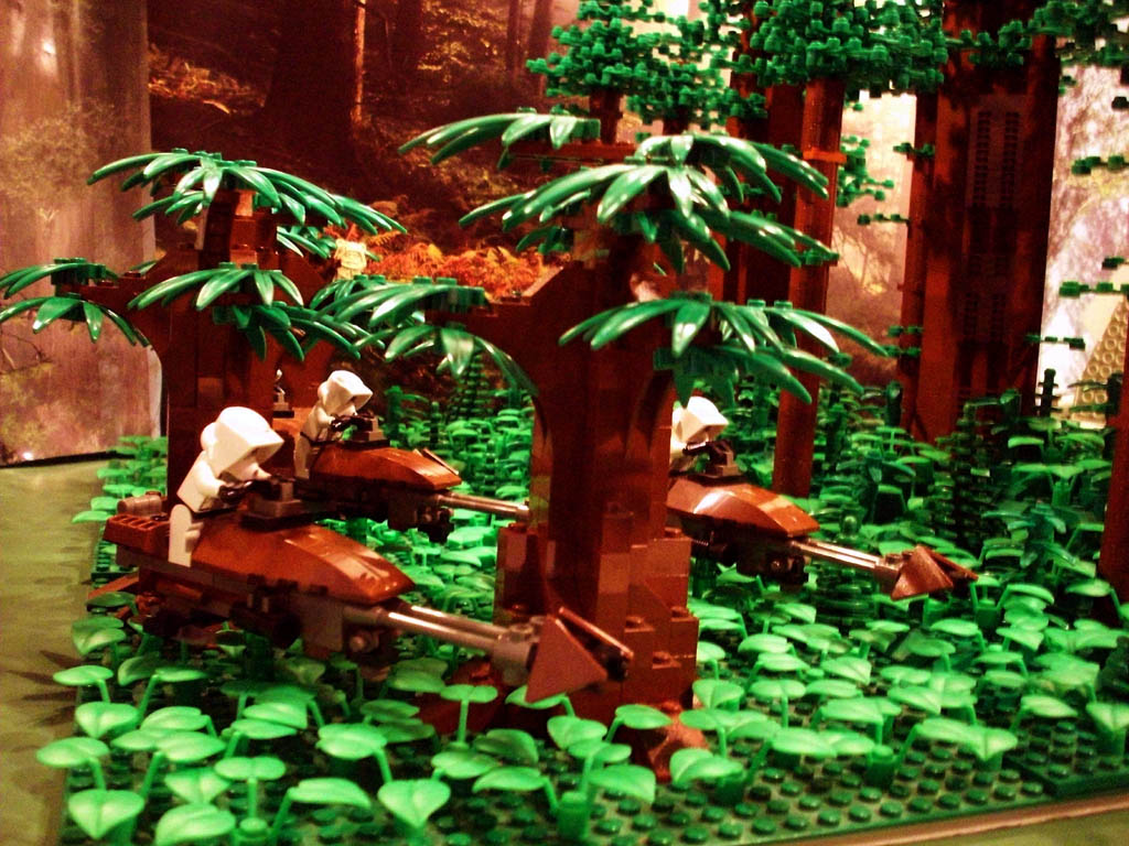 z-endor_landing_a17_012.jpg