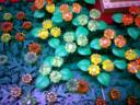 z-springflowers_a02.jpg