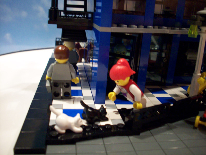 z-bluebuilding_a24_007.jpg