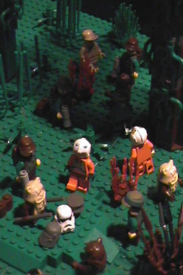 ewokcelebration-c8-31.jpg