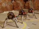 cgdspiderdroid-z2-06.jpg