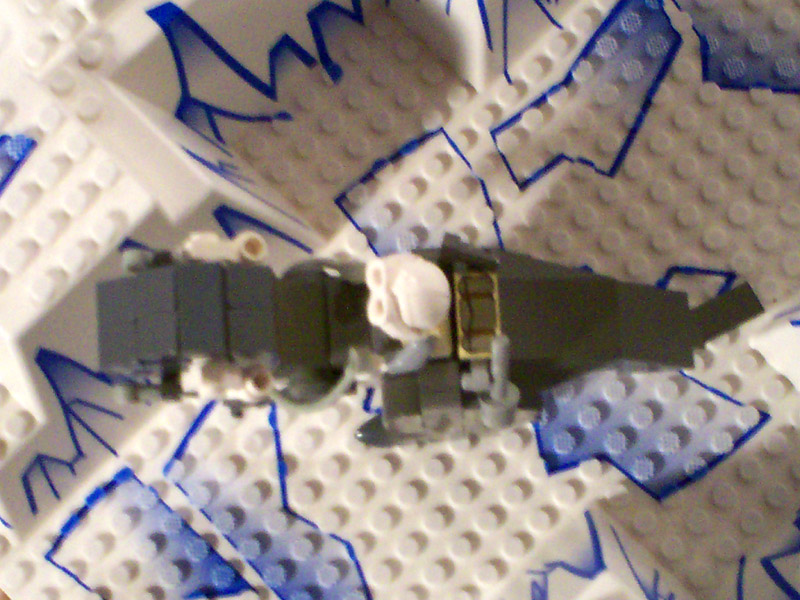 q-tauntaun_a06_045.jpg