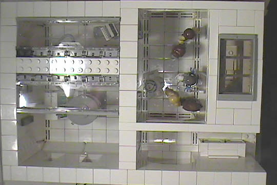 w-echobasebactarecovery-a10-53.jpg