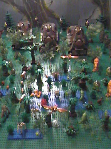 swamp_b0_43.jpg