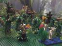 swamp_a0_04_c5_54.jpg