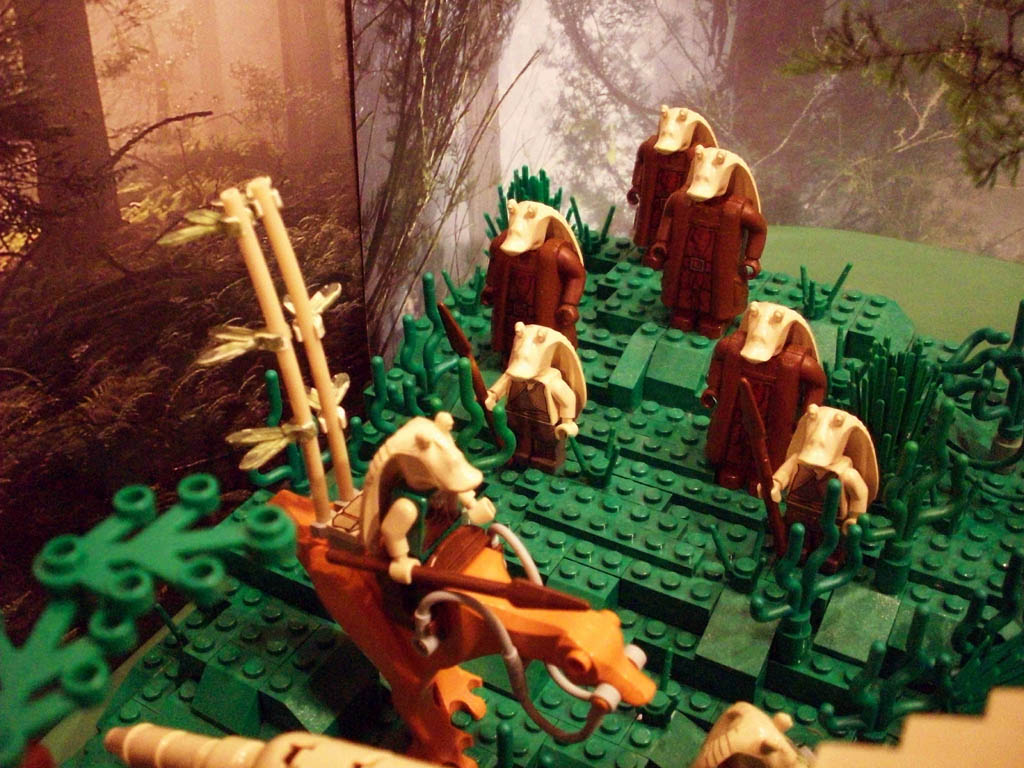 e-nabooswamps_a09_014.jpg