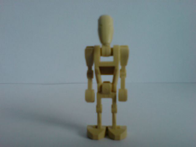 c014.jpg