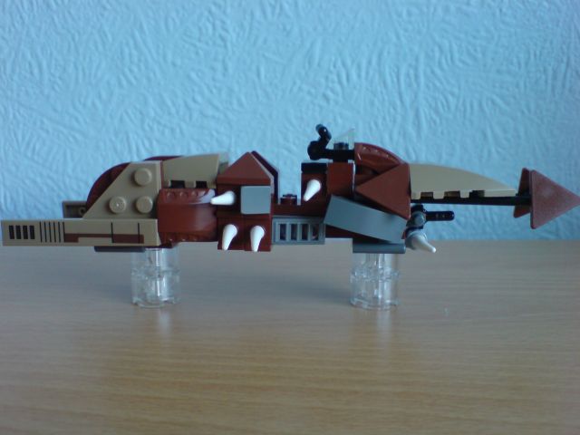 c008.jpg