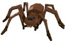 aragog1.jpg