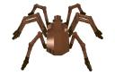 aragog2.jpg