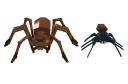 aragog3.jpg