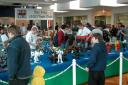 dscn0239.jpg