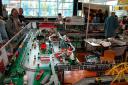 dscn0245.jpg