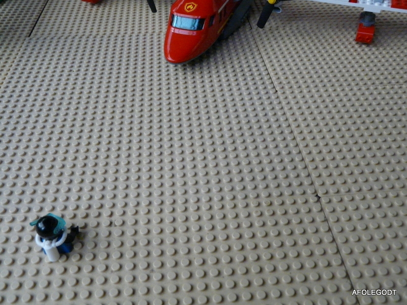 p1010462.jpg