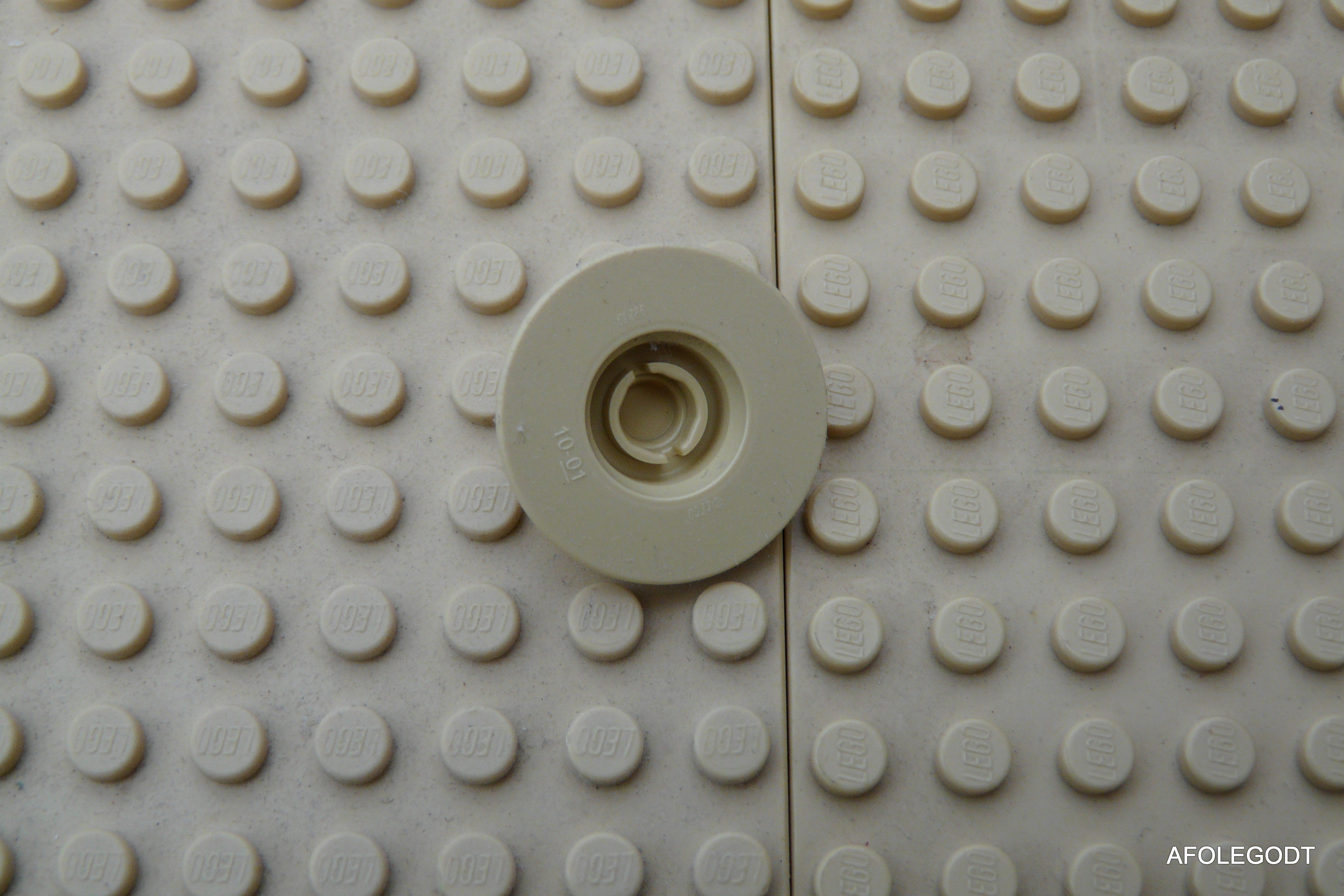 p1010321.jpg