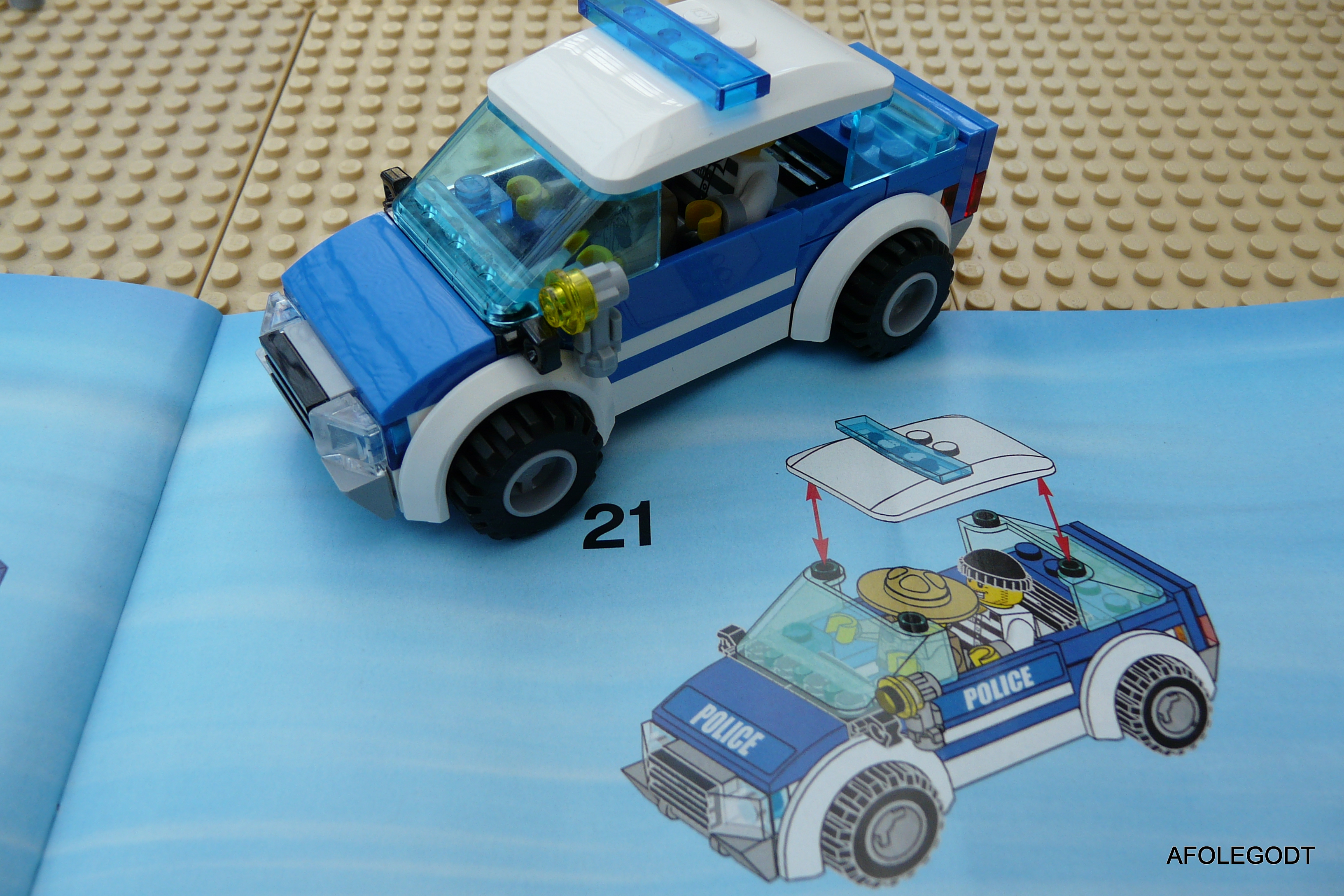 p1010341.jpg