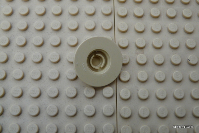 p1010321.jpg