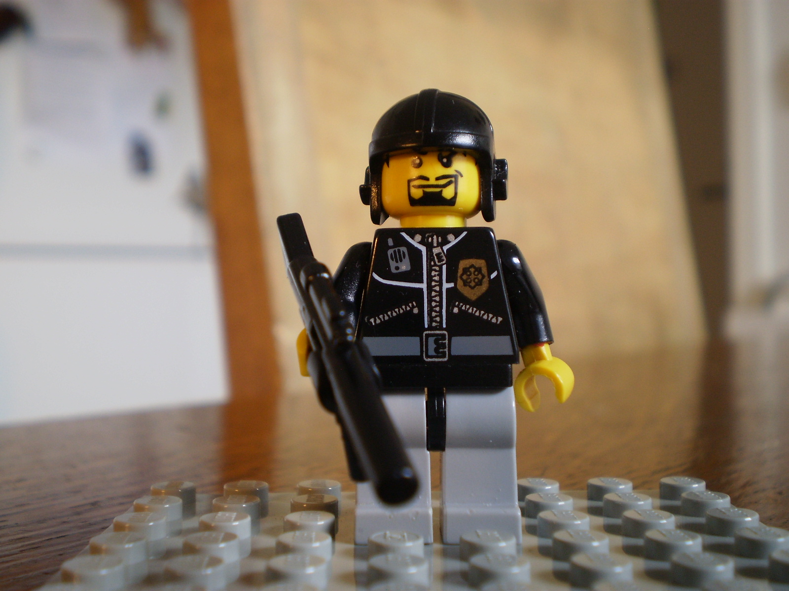 my_minifigs_009.jpg