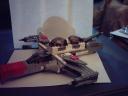 ARC-170