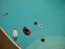 Float-Contest