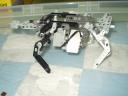 ModifiedQuadruped