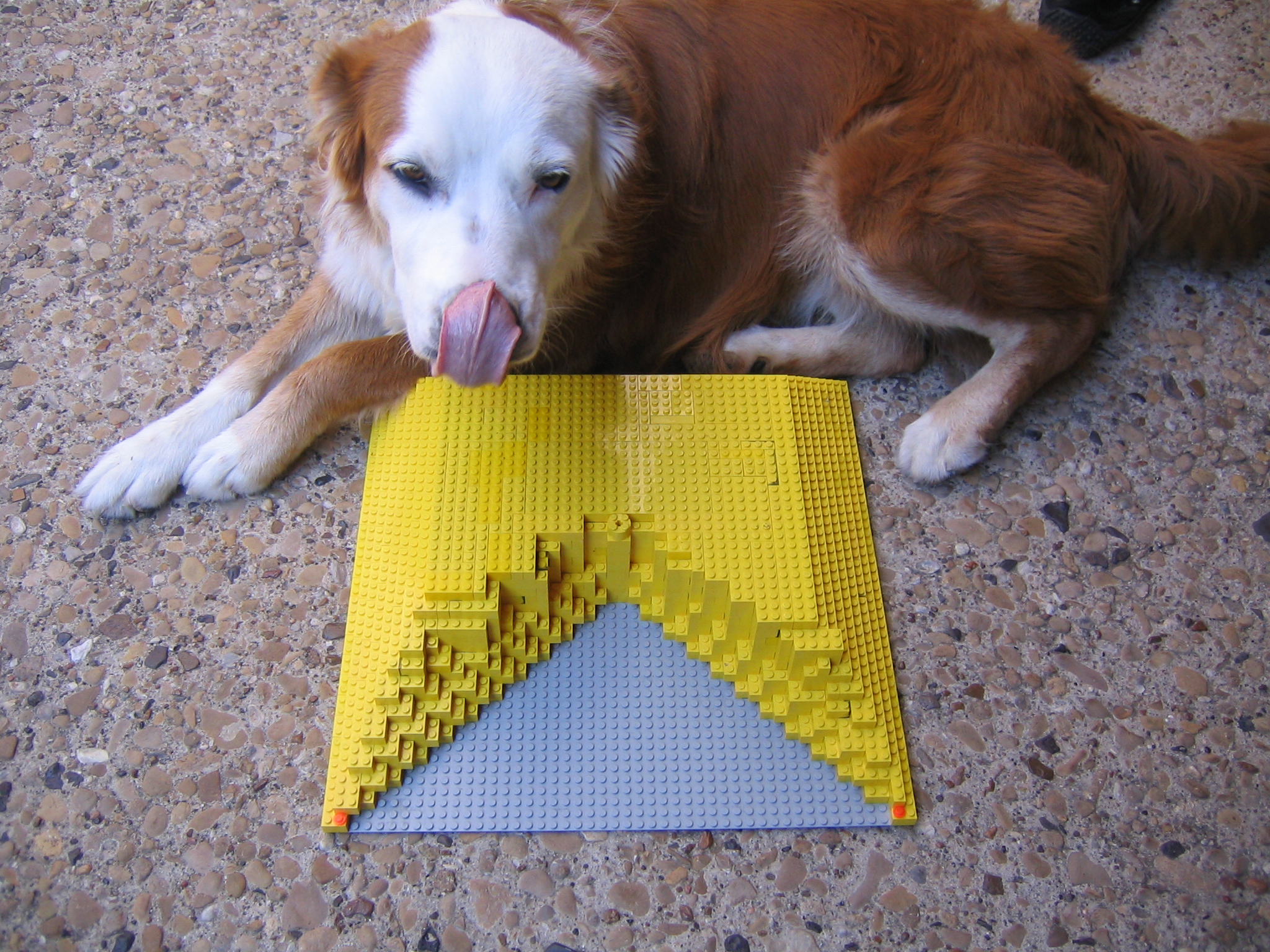 dog_and_hatak.jpg
