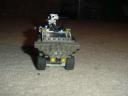 Warthog