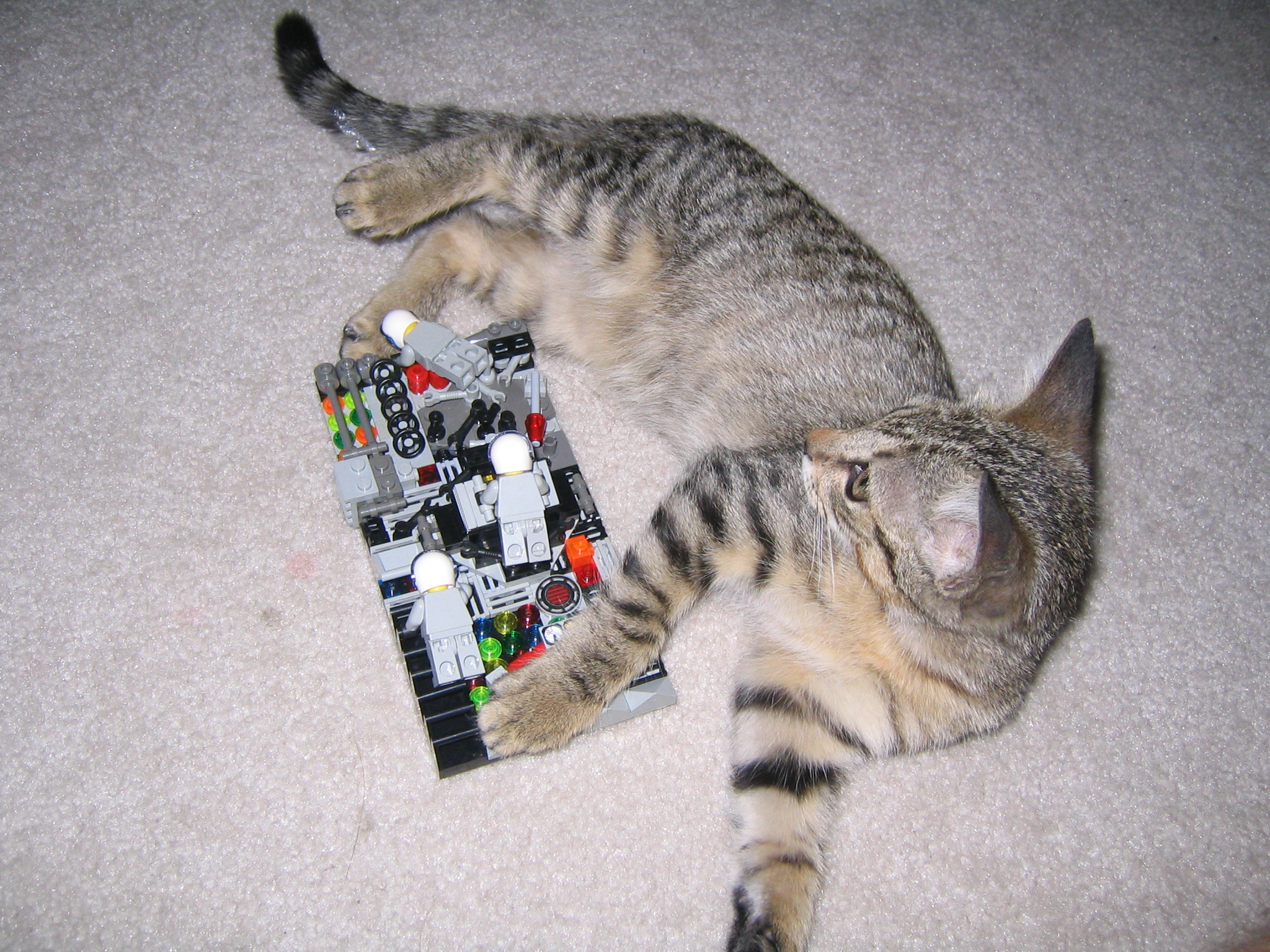 cat_and_greeble.jpg