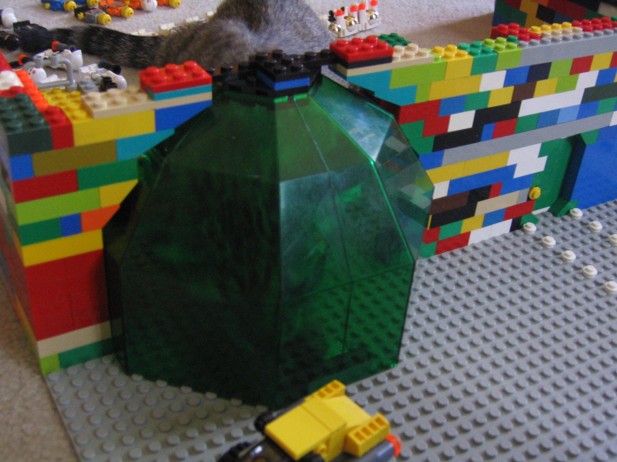 see_the_cat_inside_the_dome.jpg