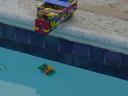 lowered_into_pool.jpg