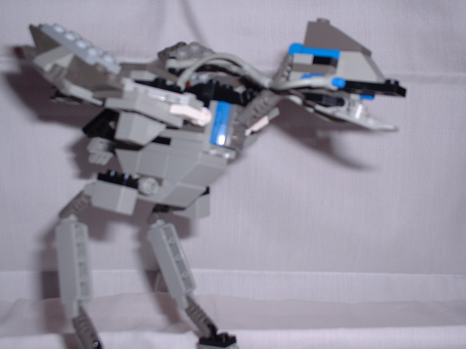 dscf0049.jpg