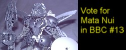 vote.jpg