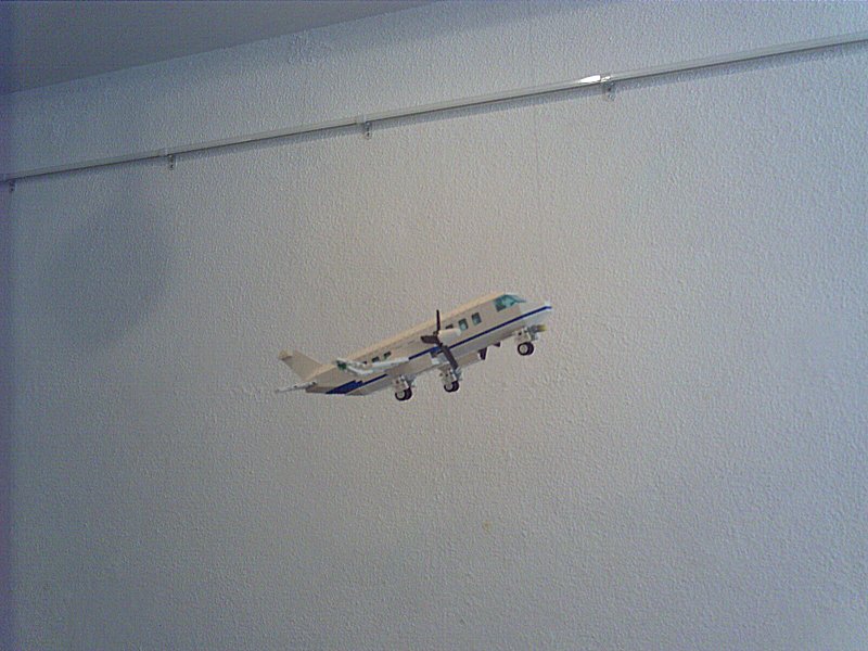 foto_0313.jpg