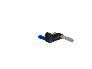 animation.gif