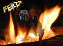 Ferix