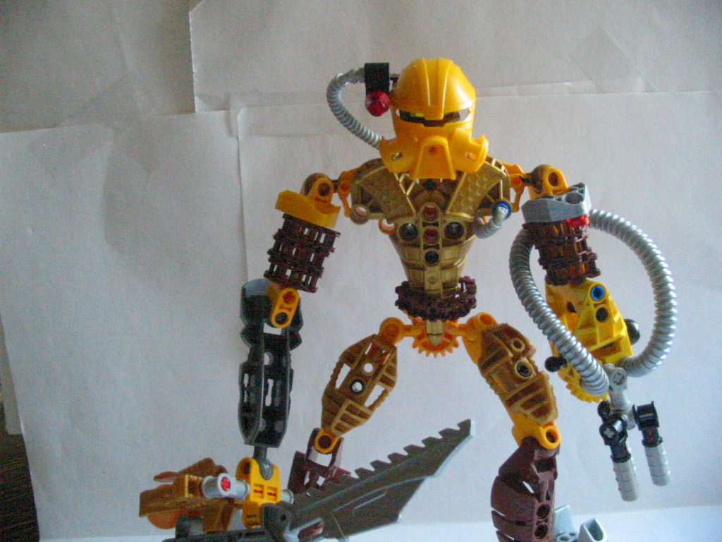 toa_extrat_pose.jpg