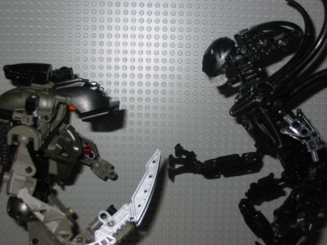 avp-1.jpg