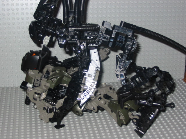 avp-2.jpg