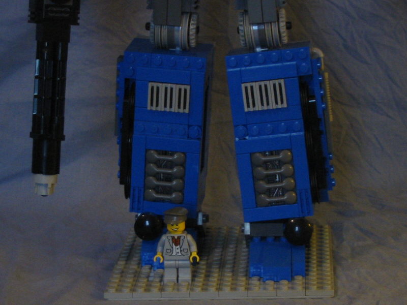 legs1.jpg
