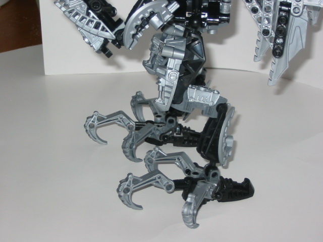 hordika-legs2.jpg