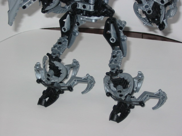 hordika-legs4.jpg