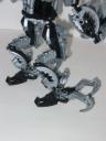 hordika-legs3.jpg