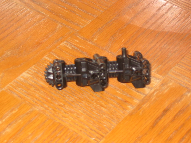 wasp02.jpg