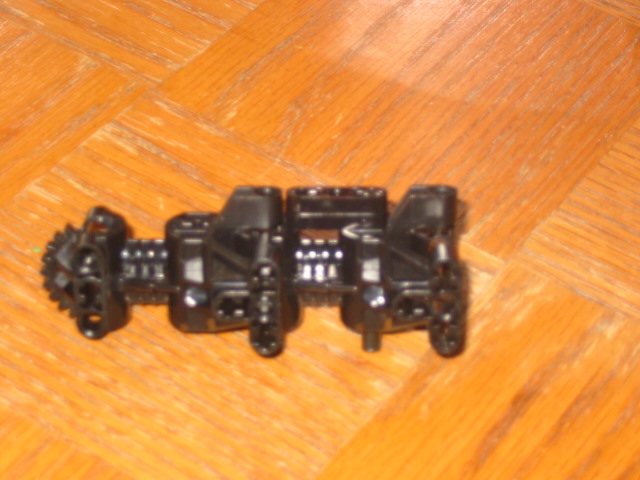 wasp04.jpg