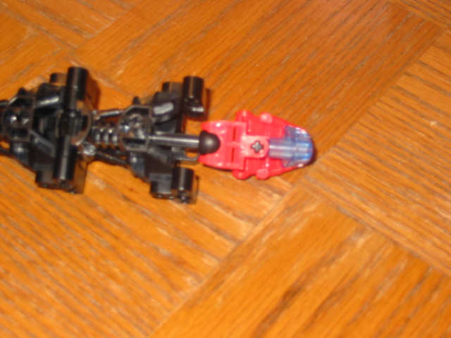 wasp06.jpg