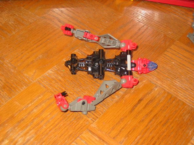 wasp07.jpg