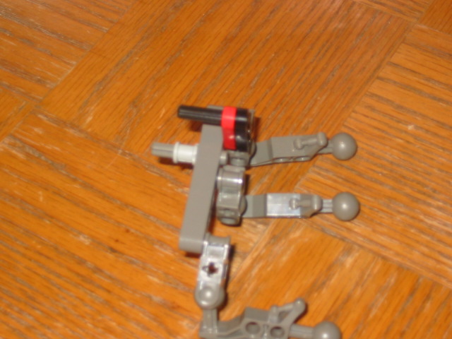 wasp16.jpg