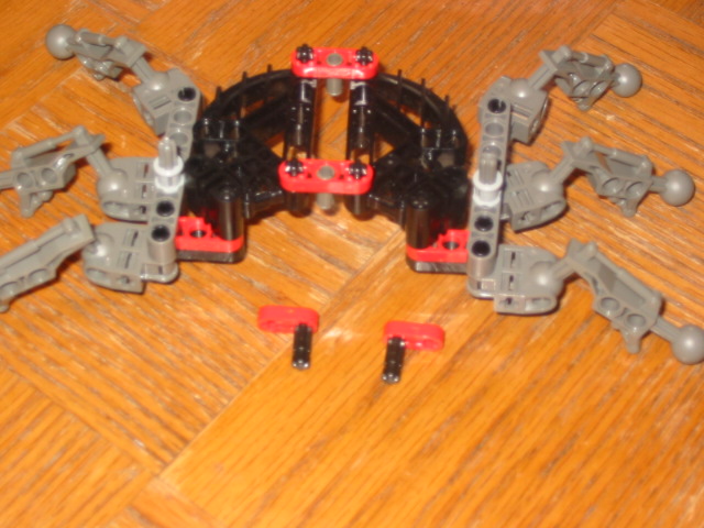 wasp17.jpg